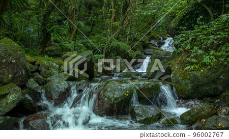 森林，溪流，山泉，臺灣，森、小川、山の泉、台湾、forest, stream, mountain s 96002767