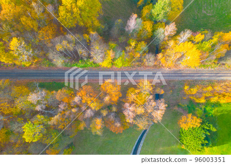 Railroad track surrounded by colourful autumnal forest 96003351