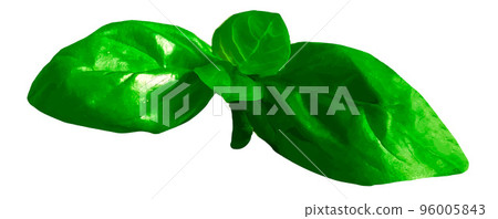 Fresh basil leaves isolated on white background. Realistic vector illustration Fresh basil leaves isolated on white background. Realistic vector illustration 96005843
