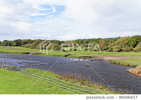 Ruins of Ogmore Castle in Vale of Glamorgan river Ruins of Ogmore Castle in Vale of Glamorgan river 96006657