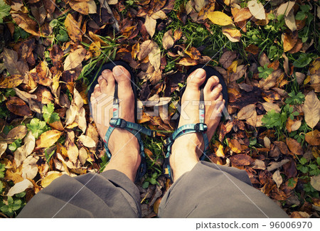 feet in sandals on autumn leaves 96006970