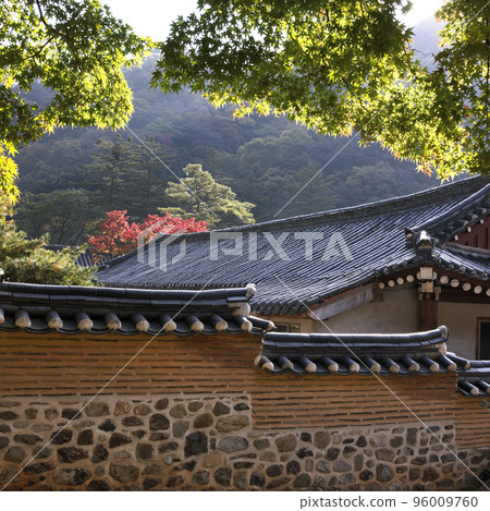 Autumn in the mountains Autumn in the mountains 96009760