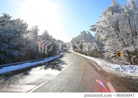 漢拏山, Sanggoae, 雪路, 道路, 雪景, 冬冬季, 雪, 雪花, 雪花, 樹, 森林, 森林, 96009947