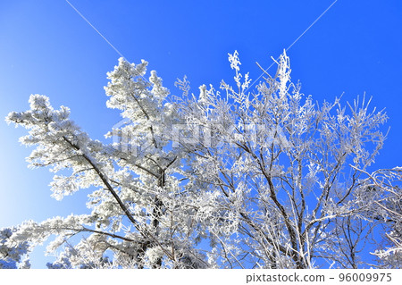 Sanggodae, Hallasan, Middle-mountainous Mountains, Road, Snow Road, Ice Road, Slippery, Snow Flower, Snow, Heavy Snow, Forest, Forest, Mountain, Winter Mountain, Hiking, 96009975