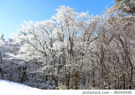 Sanggodae, Hallasan, Middle-mountainous Mountains, Road, Snow Road, Ice Road, Slippery, Snow Flower, Snow, Heavy Snow, Forest, Forest, Mountain, Winter Mountain, Hiking, 96009996