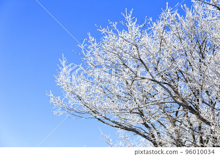 山高台, 漢拏山, 中山, 道路, 雪路, 冰路, 濕滑, 雪花, 雪, 大雪, 森林, 森林, 山, 冬季山, 徒步旅行, 山高台, 漢拏山, 中山, 道路, 雪路, 冰路, 濕滑, 雪花, 雪, 大雪, 森林, 森林, 山, 冬季山, 徒步旅行, 96010034