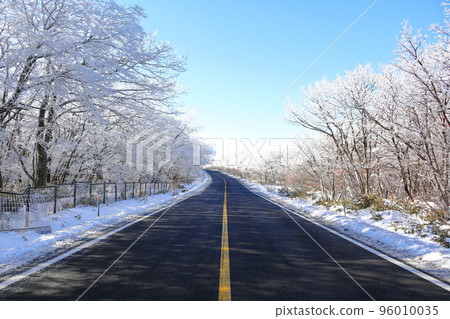 山高台, 漢拏山, 中山, 道路, 雪路, 冰路, 濕滑, 雪花, 雪, 大雪, 森林, 森林, 山, 冬季山, 徒步旅行, 96010035