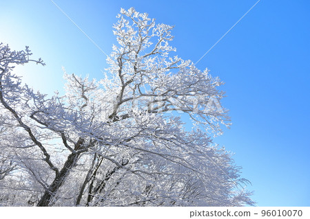 山高台, 漢拏山, 中山, 道路, 雪路, 冰路, 濕滑, 雪花, 雪, 大雪, 森林, 森林, 山, 冬季山, 徒步旅行, 96010070