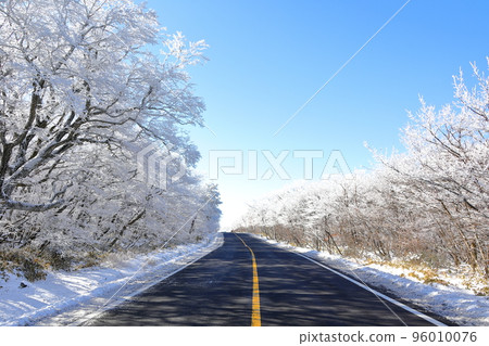 山高台, 漢拏山, 中山, 道路, 雪路, 冰路, 濕滑, 雪花, 雪, 大雪, 森林, 森林, 山, 冬季山, 徒步旅行, 96010076