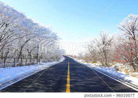 山高台, 漢拏山, 中山, 道路, 雪路, 冰路, 濕滑, 雪花, 雪, 大雪, 森林, 森林, 山, 冬季山, 徒步旅行, 96010077