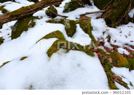 漢拏山山谷冰，山谷，冬天，冰柱，冰，雪， 96012105