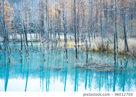 北海道冬天的到來 美瑛鎮的青池覆蓋著一層薄薄的雪 北海道冬天的到來 美瑛鎮的青池覆蓋著一層薄薄的雪 96012708