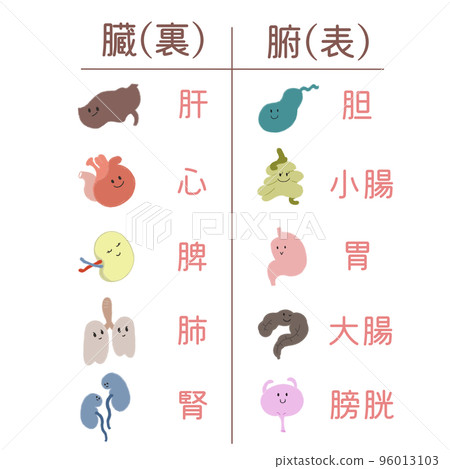 An illustration showing the front and back relationship between the five important viscera and gut in oriental medicine with a cute touch. 96013103