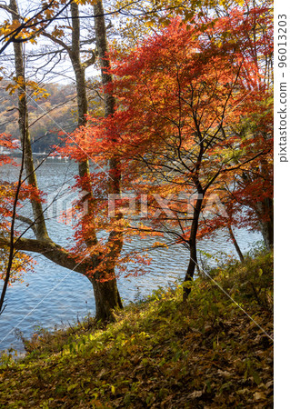 Lake Haruna in autumn, Gunma prefecture 96013203