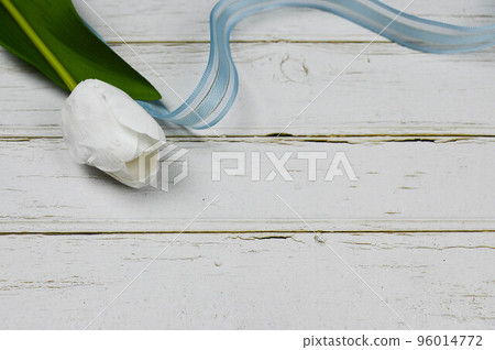 On the background of the head of the tree, 96014772