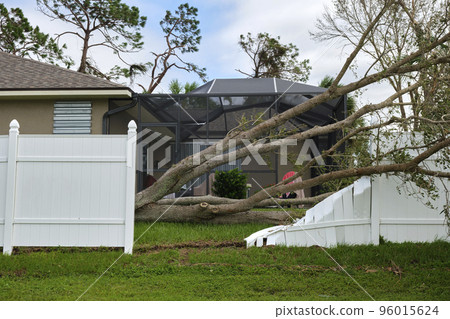 Fallen down big tree caused damage of yard fence after hurricane Ian in Florida. Consequences of natural disaster 96015624