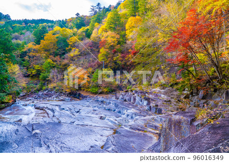 Autumn of Gomai Shura 96016349