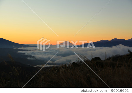 Morning glow Fuji 96016601