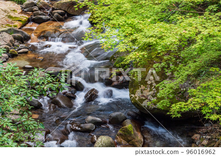 達克馬山谷的風景，在初秋的清流和紅葉的自然風光中，您可以得到治愈 96016962