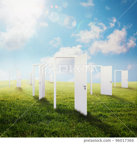 Opportunity 96017368