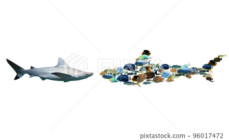 The strength of the union 96017472