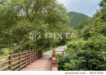 Mountain green forest road in Yesan, Korea 96017600
