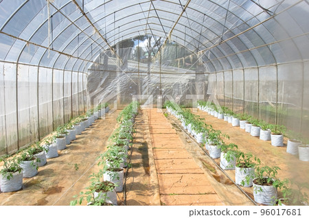 hydroponic system 96017681