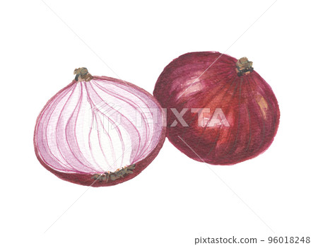 red onion red onion red onion red onion 96018248