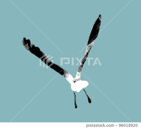Engraving of a sea gull. realistic illustration of a seabird. 96018920