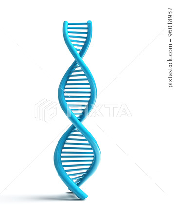 3d rendered dna isolated on white background 3d rendered dna isolated on white background 96018932