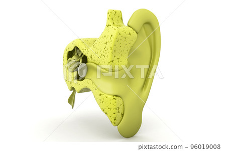 3d rendered  inner ear cochlea on white background 96019008