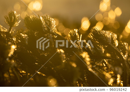 11月的清晨晴空下的西穗高山山脊上看到的雪晶 冬天中的自然 清澈的白色晶體 11月的清晨晴空下的西穗高山山脊上看到的雪晶 冬天中的自然 清澈的白色晶體 96019242