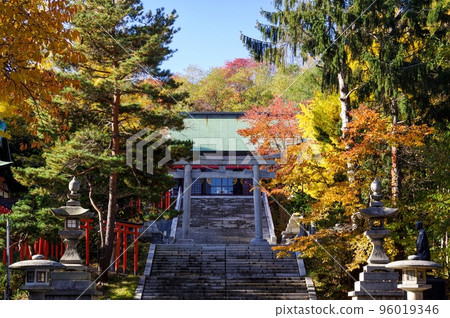 小樽市住吉神社（北海道小樽市）的紅葉 96019346