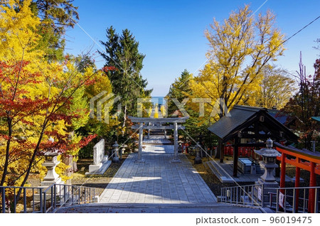 小樽市住吉神社境內的秋景（北海道小樽市） 96019475