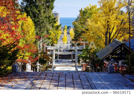 Autumn at Sumiyoshi Shrine where you can see the sea and ginkgo trees (Otaru City, Hokkaido) Autumn at Sumiyoshi Shrine where you can see the sea and ginkgo trees (Otaru City, Hokkaido) 96019571