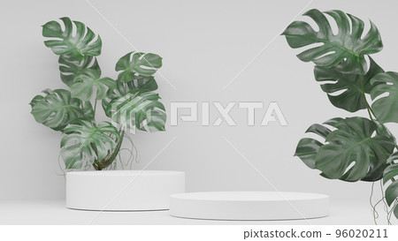 Monstera plants decoration and Empty podium Blank product shelf standing backdrop. 3D rendering. Monstera plants decoration and Empty podium Blank product shelf standing backdrop. 3D rendering. 96020211