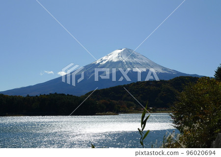 從本栖湖看到的富士山 從本栖湖看到的富士山 96020694