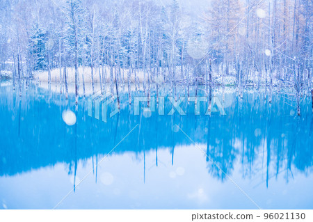 Winter in Hokkaido, lightly dressed blue pond 96021130