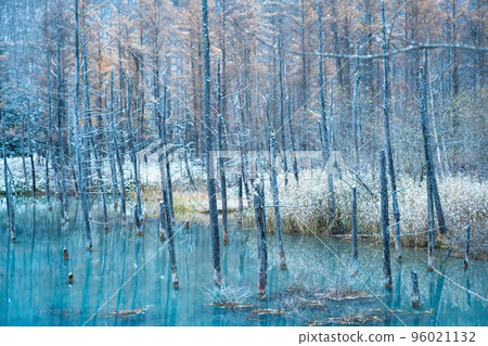 The arrival of winter in Hokkaido Blue Pond covered with light snow (photographed in 2022) 96021132