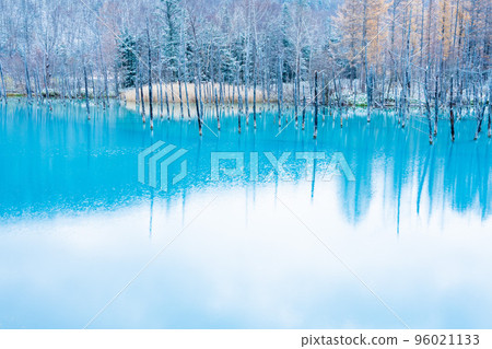 北海道冬天的到來 美瑛鎮的青池覆蓋著一層薄薄的雪 北海道冬天的到來 美瑛鎮的青池覆蓋著一層薄薄的雪 96021133