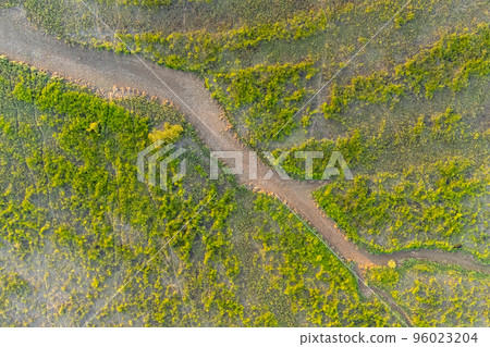 Top aerial panoramic view of green steppe or meadow in summer, landscape with trees and bushes, drought. Top aerial panoramic view of green steppe or meadow in summer, landscape with trees and bushes, drought. 96023204