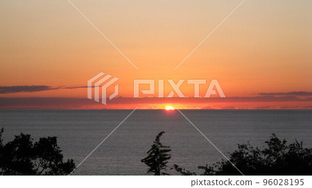 Sunset over the sea and trees Sunset over the sea and trees 96028195