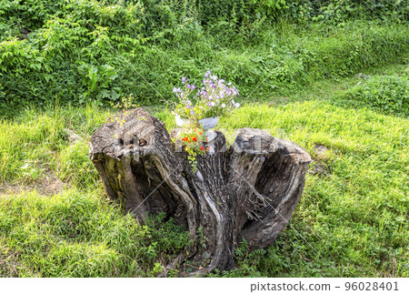 Decorative flowers in the metal vase on the old stump Decorative flowers in the metal vase on the old stump 96028401