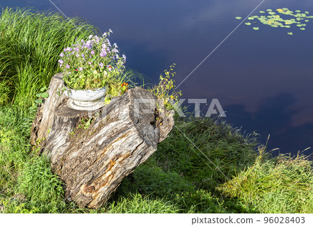 Decorative flowers in the metal vase on the old stump 96028403