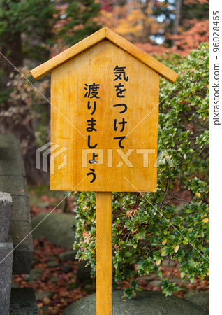 秋葉在庭院裡 秋葉在庭院裡 96028465