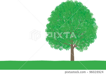 Vector illustration of lush summer trees and meadow Vector illustration of lush summer trees and meadow 96028924