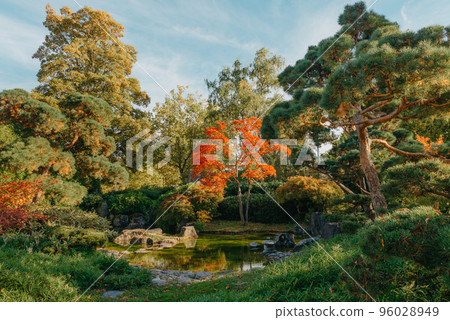 Beautiful Japanese Garden and red trees at autumn seson. A burst of fall color with pond reflections. Beautiful Japanese Garden and red trees at autumn seson. A burst of fall color with pond reflections. 96028949