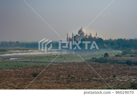 Taj Mahal view from Agra Fort Taj Mahal view from Agra Fort 96029070