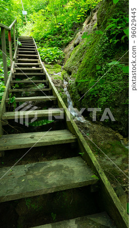 An old overgrown staircase in the forest among stones covered with moss and green trees. An old overgrown staircase in the forest among stones covered with moss and green trees. 96029445
