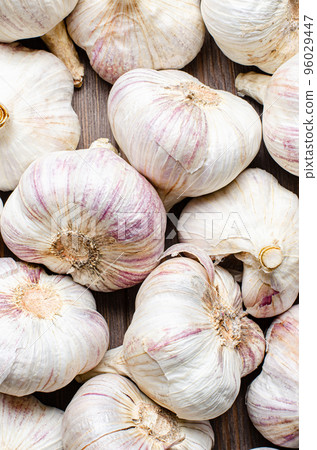 Background of garlic bulbs. Close-up. Harvest season Background of garlic bulbs. Close-up. Harvest season 96029447